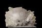 Preview: Calcit,Mineralien,Andreasberg,Harz